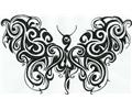 Erfly Drawing 