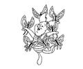 Papillons 19583