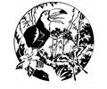 Terfly Rainforest