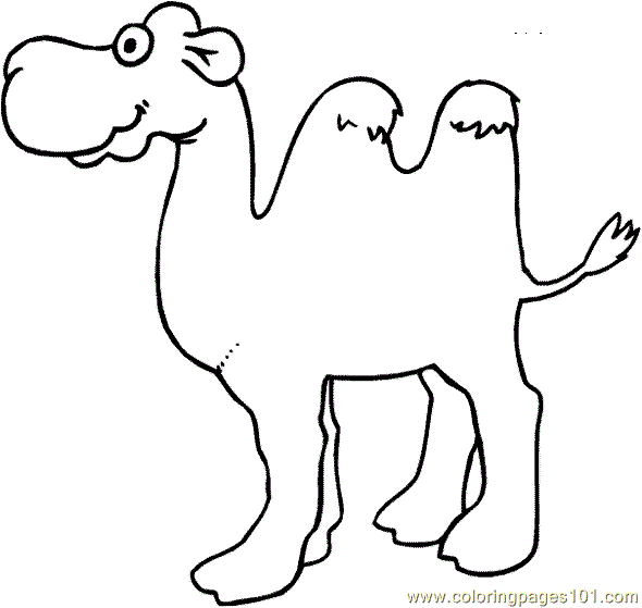 Camel Coloring Page 004