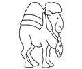 Camel (7)