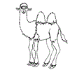 CaMeL''s