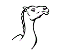 CaMeL''s
