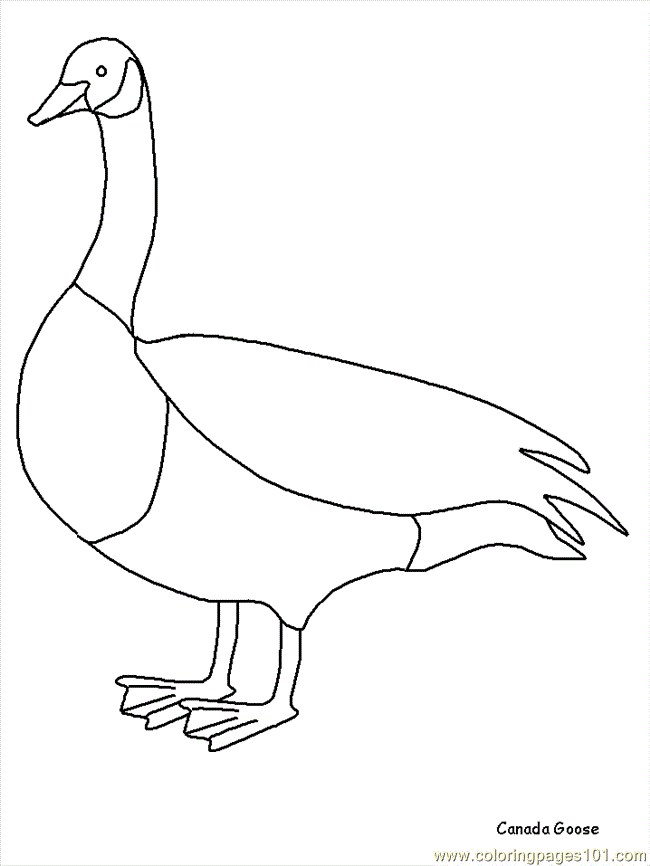 canada animals coloring pages - photo #7