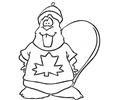 Beaver Of Canada