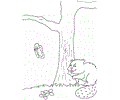 Canada Beaver2
