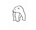 E Bear27 Lrg