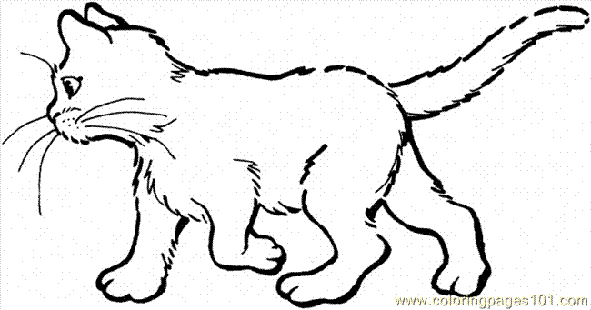 cat in hat coloring pages. Cat+in+the+hat+clip+art+