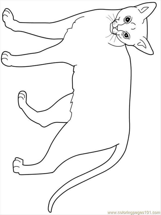 dachis cat coloring pages - photo #23