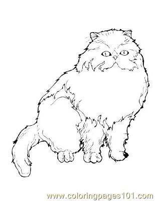 Detailed Cat Coloring Pages For Adults Sketch Coloring Page