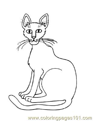 Detailed Cat Coloring Pages For Adults Sketch Coloring Page