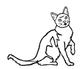 European Burmese