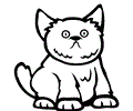 Exotic Shorthair