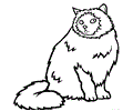 Himalayan