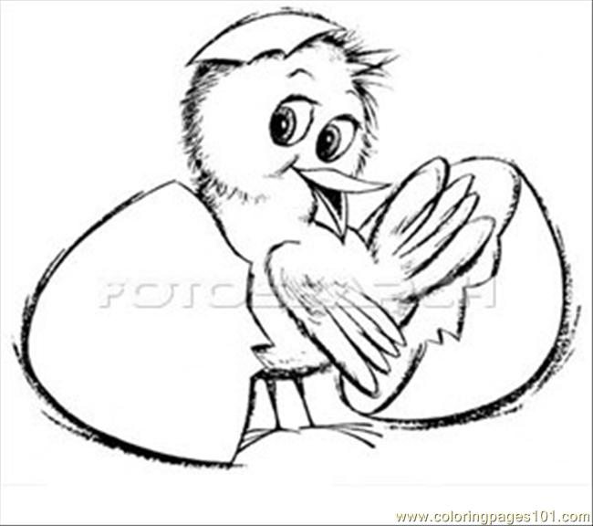baby chick hatching coloring pages - photo #26