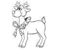 Reindeer1