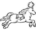 Circus Horse runing