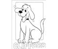 Clifford11