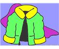 Winter Coat