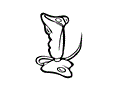 Joystick 