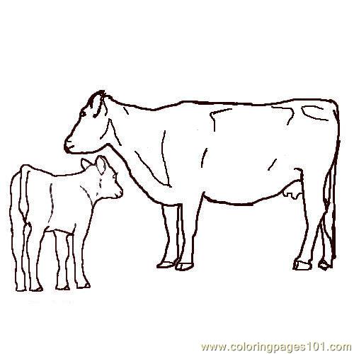 Coloring Pages Angus cow calf (Mammals > Cow) - free printable coloring