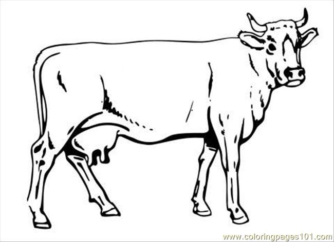 free printable coloring image Cow20 