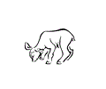 Baby cattle