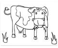 Cow001