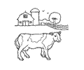 Cow 01 Sm