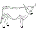 Jungli cow