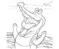 8crocodile11