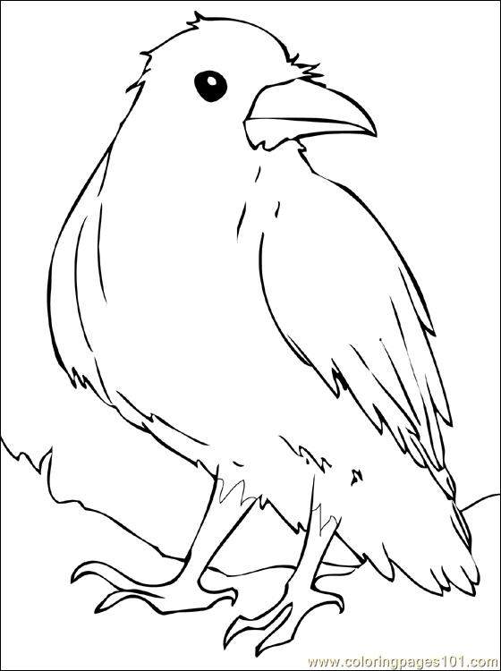 Raven coloring page - Free Printable Coloring Pages