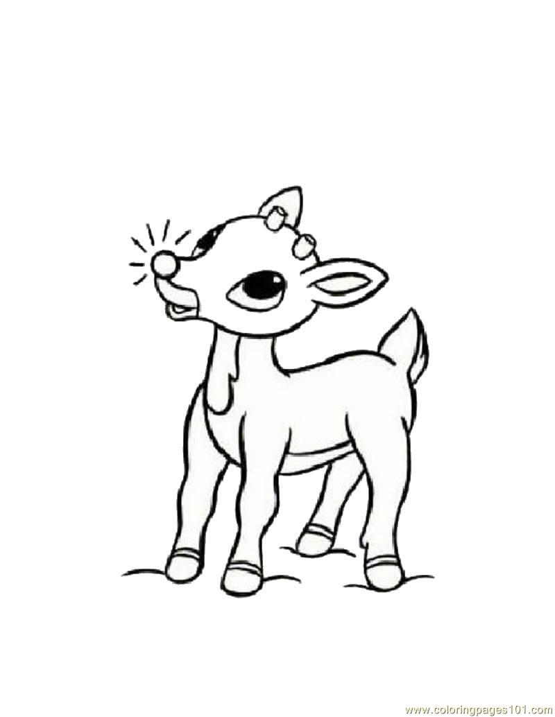 Coloring Pages Baby Deers (Animals > Deer) - free printable coloring