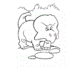 Dino (24)