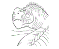 Dinosaur Coloring Page 15