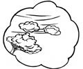 Storm
