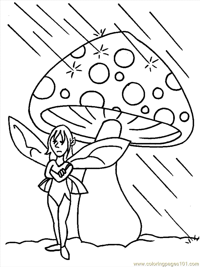 Fairy 14
