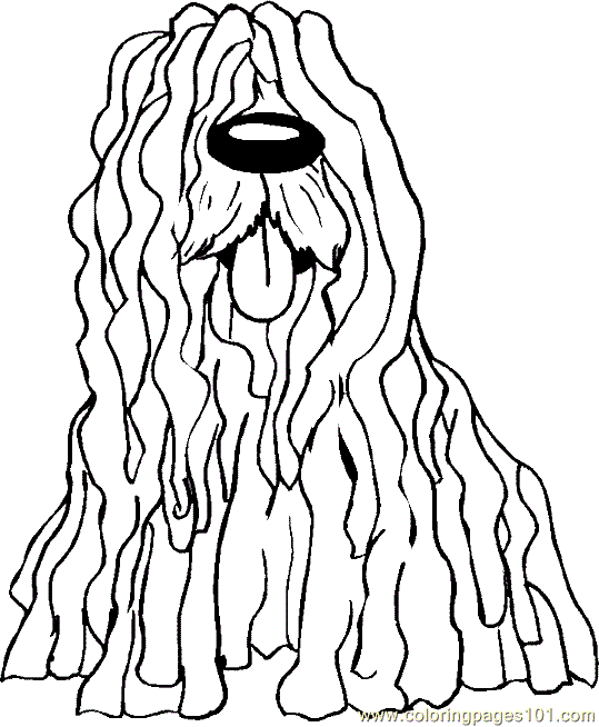 Dog Puppy Coloring Page 27