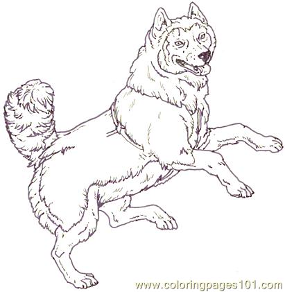 Mural Tsb Sled Dog  Jumping