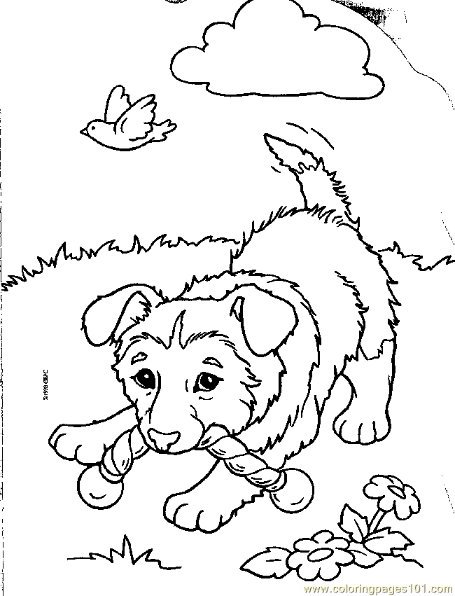 Pup5