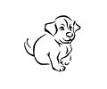 Baby Dog