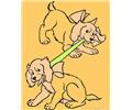 Two Dogs