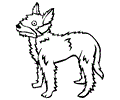 Belgian Shepherd Dog