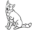 Karelian Bear Dog
