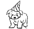 Maltese