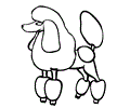 Poodle