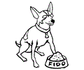 Toy Fox Terrier