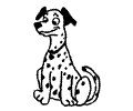 Dalmation