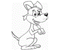 Dog11