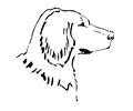 Dog1